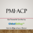 PMI ACP
