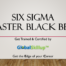 Six sigma Master Black Belt