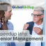 Senior Management Roles