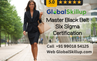 Master Black Belt Six Sigma Certification