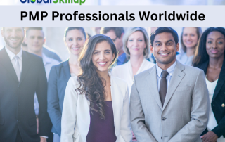 PMP Professionals Worldwide